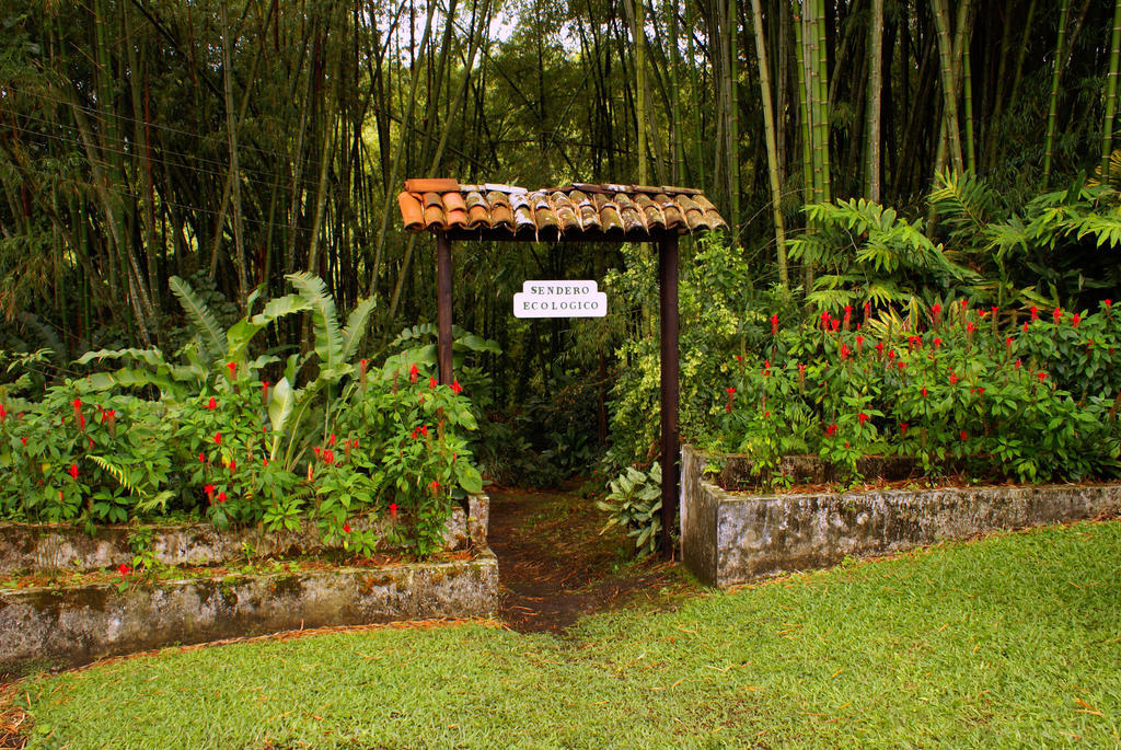 Hotel Campestre La Floresta Armenia  Exterior foto